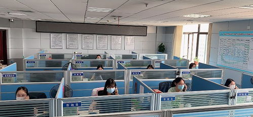 湖北12333全國統一咨詢日暨世界青年技能日活動線上啟動——為青年技能人才提供“零距離”技術咨詢